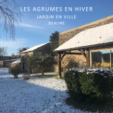 les agrumes en hiver